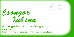 csongor kubina business card